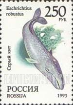 FindYourStampsValue: Russia: Russian Federation, Wildlife - Eschrichtius Robustus