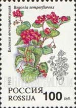 FindYourStampsValue: Russia: Russian Federation, Flowers - Begonia Semperflorens