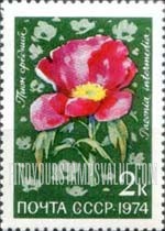 FindYourStampsValue: Russia: USSR, Flora of the USSR - Peony