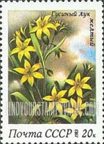 FindYourStampsValue: Russia: USSR, Spring Flowers - Gagea