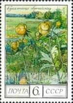 FindYourStampsValue: Russia: USSR, Regional Flowers - Globeflowers, Tundra