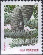 FindYourStampsValue: CHRISTMAS - Balsam Fir, Self-Adhesive Booklet stamp