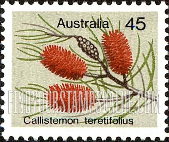 FindYourStampsValue: Callistemon teretifolius, horizontal