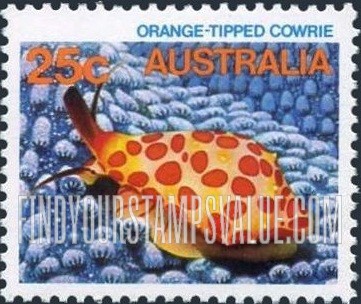 FindYourStampsValue: Orange-tipped cowrie