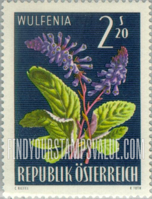 FindYourStampsValue: Alpine Flowers: Wulfenia carinthiaca