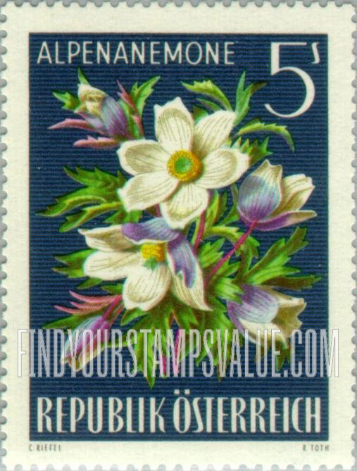 FindYourStampsValue: Alpine Flowers: Pasqueflower