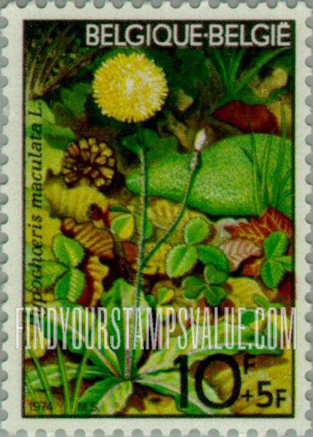 FindYourStampsValue: Semi-Postal: Spotted Cat’s Ear