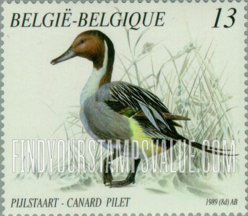FindYourStampsValue: Ducks: Pintail