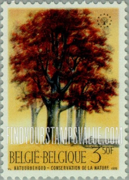 FindYourStampsValue: Beeches in Botanical Garden