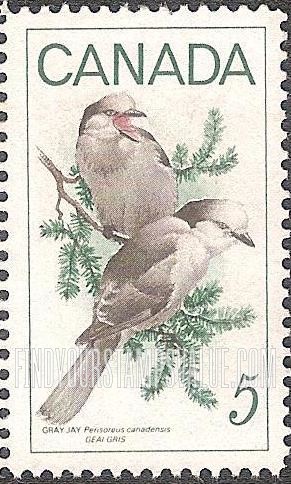 FindYourStampsValue: Gray Jays