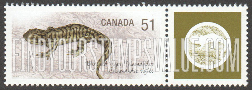 FindYourStampsValue: Blotched tiger salamander