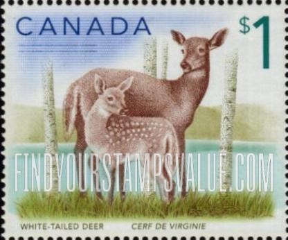 FindYourStampsValue: White-tailed deer