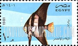 FindYourStampsValue: 50th anniversary of Al-Ghardaka Marine Biological Station - الذكرى السنوية الخمسون لمحطة الغردقة البحرية البيولوجية