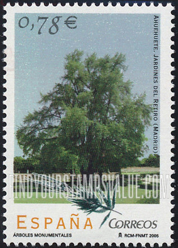 FindYourStampsValue: Ahuehuete Tree, Retiro Park, Madrid