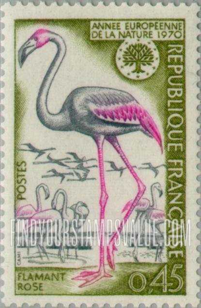 FindYourStampsValue: Pink Flamingos