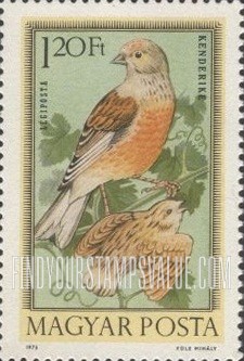 FindYourStampsValue: Linnets