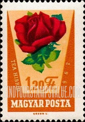 FindYourStampsValue: Tea Hibrid Rose