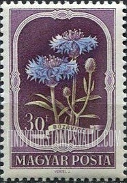 FindYourStampsValue: Cornflower