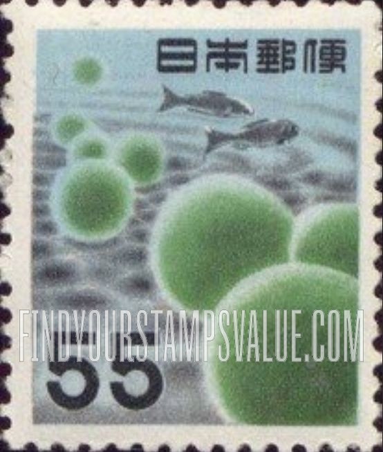 FindYourStampsValue: Water Plants, Lake Akan - マリモ、阿寒湖