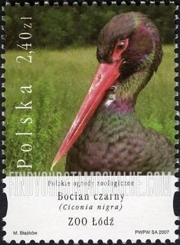 FindYourStampsValue: Animals in Polish Zoos: Ciconia nigra, Lódz Zoo