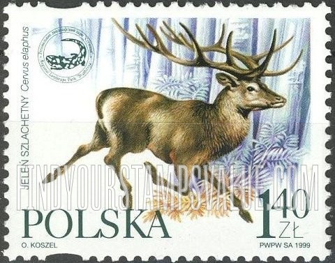 FindYourStampsValue: Polish-Ukrainian Cooperation in Nature Conservation: Cervus elaphus