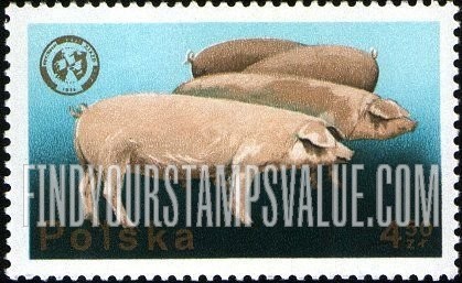 FindYourStampsValue: Pigs