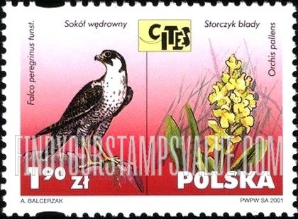 FindYourStampsValue: Endangered Flora and Fauna: Falco peregrinus, Orchis pallens