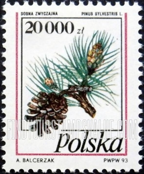 FindYourStampsValue: Pine Cone Type of 1991: Pinus sylvestris