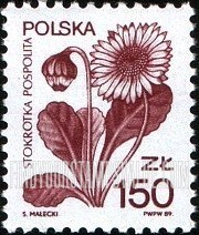 FindYourStampsValue: Daisy