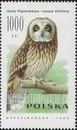 FindYourStampsValue: Asio flammeus