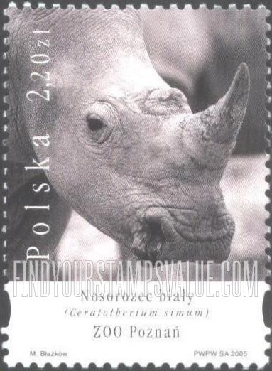 FindYourStampsValue: Zoo Animals: Ceratotherium simum, Poznan Zoo