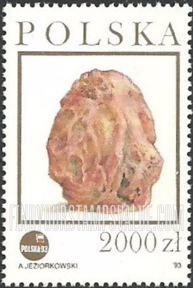 FindYourStampsValue: Amber