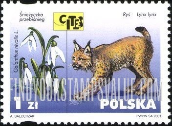 FindYourStampsValue: Endangered Flora and Fauna: Galanthus nivalis, Lynx lynx