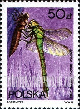 FindYourStampsValue: Dragonflies: Aeschna viridis, vertical