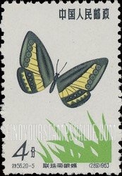 FindYourStampsValue: Butterfly: Striped ringlet - 蝴蝶: 连珠带眼蝶
