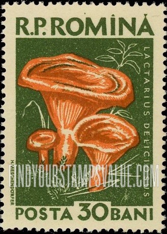 FindYourStampsValue: Mushrooms: Lactarius deliciosus