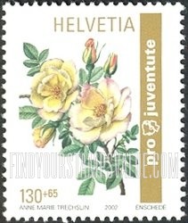 FindYourStampsValue: Semi-Postal, Roses: Frühlingsgold rose