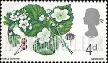 FindYourStampsValue: Great Britain (United Kingdom): British Flora - Hawthorn and Wild Blackberry