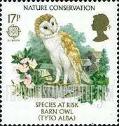 FindYourStampsValue: Great Britain (United Kingdom): Europa, Nature Conservation, Endangered Species - Barn Owl