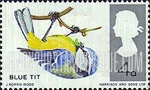 FindYourStampsValue: Great Britain (United Kingdom): British Birds - Blue Tit
