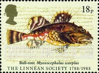 FindYourStampsValue: Great Britain (United Kingdom): The Linnean Society of London, 200th Anniversary - Bull-rout Fish