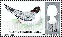 FindYourStampsValue: Great Britain (United Kingdom): British Birds - Black-Headed Gull