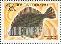 FindYourStampsValue: Russia: USSR, Food Fish - Platichthys Stellatus
