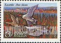 FindYourStampsValue: Russia: Russian Federation, Ducks - Anas Falcata