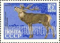 FindYourStampsValue: Russia: USSR, Animals from the Sikhote-Alin Reserve - Red Deer