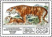 FindYourStampsValue: Russia: USSR, Protected Fauna - Tiger and Cub