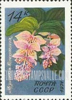 FindYourStampsValue: Russia: USSR, Flowers - Medinilla Magnifica