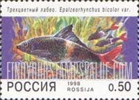 FindYourStampsValue: Russia: Russian Federation, Aquarium Fish - Epalzeorhynchus Bicolor