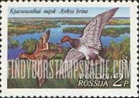 FindYourStampsValue: Russia: Russian Federation, Ducks - Aythya Ferina
