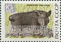 FindYourStampsValue: Russia: USSR, Belovezhskaya Forest Reservation - Wild Pig and Piglets